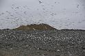 012409 Waco Landfill 015
